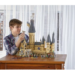 LEGO® 71043 HARRY POTTER™ Bradavický hrad