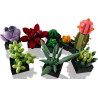 LEGO® 10309 CREATOR EXPERT Sukulenty