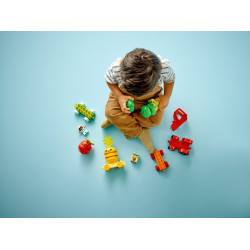 LEGO® 10982 DUPLO  Traktor se zeleninou a ovocem