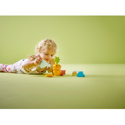 LEGO® 10981 DUPLO Pěstování mrkve