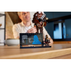 LEGO® 75371 STAR WARS® Chewbacca™