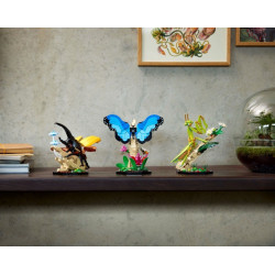 LEGO® 21342 IDEAS Sbírka hmyzu