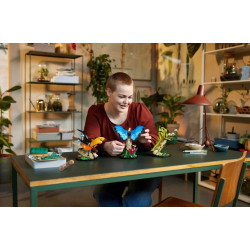 LEGO® 21342 IDEAS Sbírka hmyzu