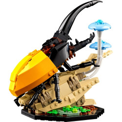 LEGO® 21342 IDEAS Sbírka hmyzu