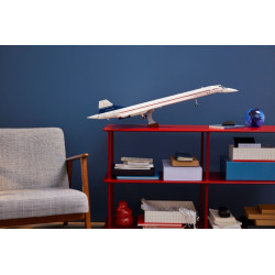 LEGO® 10318 ICONS Concorde