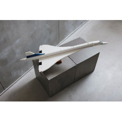 LEGO® 10318 ICONS Concorde