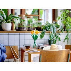 LEGO® 40747 Narcisy