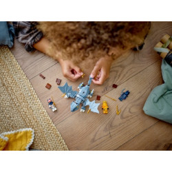 LEGO® 71810 NINJAGO Dračí mládě Riyu