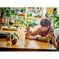 LEGO® 76433 HARRY POTTER™ Mandragora