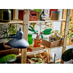 LEGO® 76433 HARRY POTTER™ Mandragora