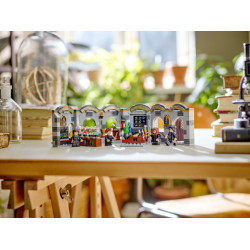 LEGO® 76431 HARRY POTTER™Bradavický hrad: Hodina lektvarů