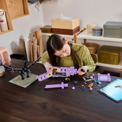 LEGO® 21264 MINECRAFT® Drak z Enderu a loď z Endu