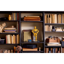 LEGO® 75398 STAR WARS™ C-3PO™