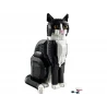 LEGO® 21349 IDEAS Černobílá kočka