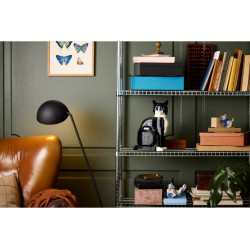 LEGO® 21349 IDEAS Černobílá kočka