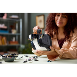 LEGO® 21349 IDEAS Černobílá kočka