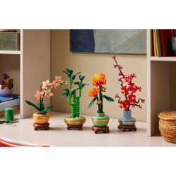 LEGO® 10343 BOTANICALS Miniaturní orchidej