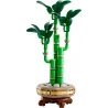 LEGO® 10344 BOTANICALS Bambus štěstí