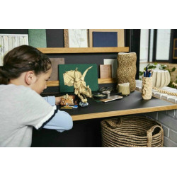 LEGO® 76969 JURASSIC WORLD  Dinosauří fosilie: Lebka triceratopse