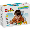 LEGO® 10442 DUPLO Rodinky divokých zvířat: Tučňáci a lvi