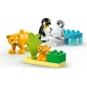 LEGO® 10442 DUPLO Rodinky divokých zvířat: Tučňáci a lvi