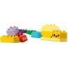 LEGO® 10444 DUPLO Kreativní zahrada a květiny