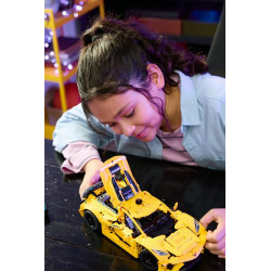 LEGO® 42205 TECHNIC  Chevrolet Corvette Stingray