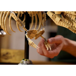 LEGO® 76968 JURASSIC WORLD Dinosauří fosilie: Tyrannosaurus rex