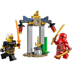 LEGO® 30650 NINJAGO Bitva Kaie a Raptona v chrámu