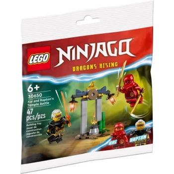 LEGO® 30650 NINJAGO Bitva Kaie a Raptona v chrámu
