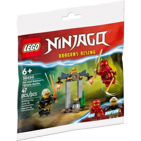 LEGO® 30650 NINJAGO Bitva Kaie a Raptona v chrámu