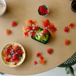 LEGO® 10348 BOTANICALS Bonsaj – Japonský červený javor