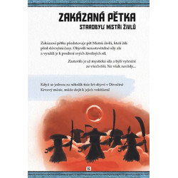 LEGO® NINJAGO® Bitevní box