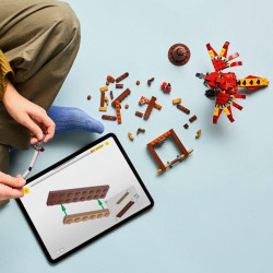 LEGO® 76448 HARRY POTTER™  Fawkes: Brumbálův fénix