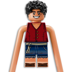 LEGO® 75638 ONE PIECE®  Bitva v Arlongově parku