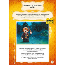 LEGO® Harry Potter™ Kouzelnická zábava