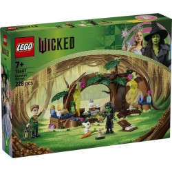 LEGO® 75687 WICKED Elphaba a její úkryt
