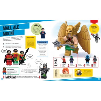 LEGO® Naprosto všechno, co musíš vědět