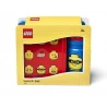 LEGO® ICONIC Classic Svačinový set - box a láhev