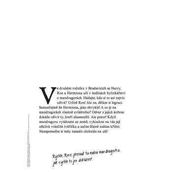 LEGO® HARRY POTTER™ Kniha plakátů