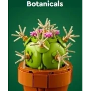 LEGO® ICONS Botanicals